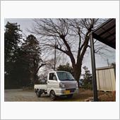 【まだまだ】・・・。