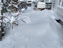今日から春（ただし暦の上の話）