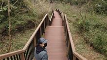 三浦半島 小網代の森