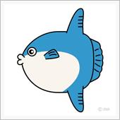 マンボウ解除！