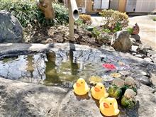 ３２０ 🔖恩林寺  ＜弥生＞＜群馬県＞