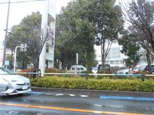 雪・・・降ってる・・・