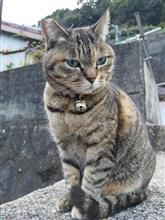 尾鷲の船宿
