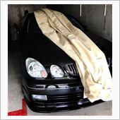アンベール　冬眠明け