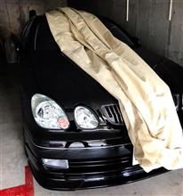 アンベール　冬眠明け