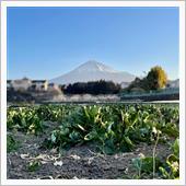 春の訪れを感じつつ・・・のん ...