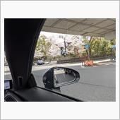 2022年 春光戦・美也古で ...