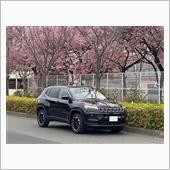 消去法で残った車