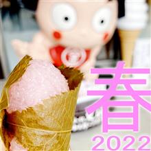 ★春を探して金太郎&#39;22(箱根編)