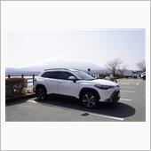 いい意味で普通