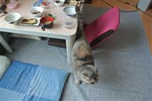 〔隔週〕先週、今週の朝食(26)