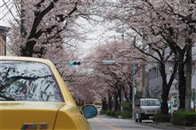 激撮 桜とダイミン2号そして辰巳珈琲店でジュリアスーパーとスカイライン 激撮 桜とダイミン2号そして辰巳珈琲店でジュリアスーパーとスカイライン
