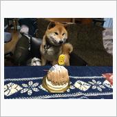 お誕生日おめでとう