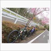 開花はもう少し？早朝トレイル☆