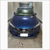 初めての洗車、リーフちゃんは ...