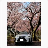 早咲きの桜と愛車