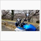 自動二輪高速走行訓練と開花調 ...