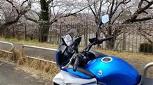 自動二輪高速走行訓練と開花調査に行ってきました