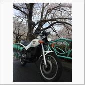 桜巡りと・・・やっちまいまし ...