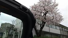 アジフライな日曜日でした(^^) アジフライな日曜日でした(^^)