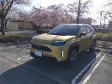 外壁塗装が完成したのでお祝い😁