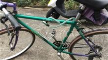 お花見サイクリング。