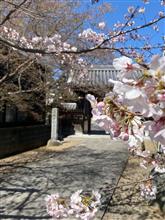 No rain, no rainbow.〜晴れた海と桜を眺めた日〜