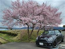 山中湖を望む道沿いにMINI4台を発見!!