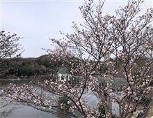 ソロキャン♪ 〜蛇円山〜 ソロキャン♪ 〜蛇円山〜