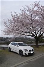 春を探してみました