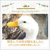 私が産まれて45年！！