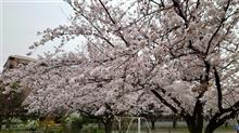 花曇りの火曜日