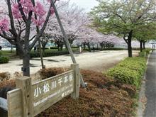 小松川千本桜