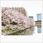 ランチウォーキング　大阪城公園