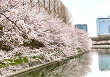 ランチウォーキング　大阪城公園