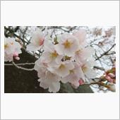 もう少し天気が良ければ最高だ ...