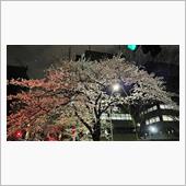 今週末は？
