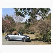 小山市ドライブ