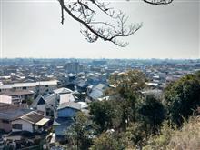 本日は 本日は