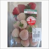 紅白いちごセット