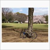 自転車散歩（砧公園）