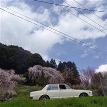 辛抱堪らんき仕事もせんつ行って来た！