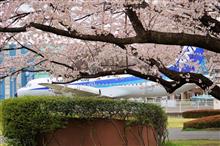 所沢航空記念公園の桜、2022。