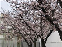ビックリですわ・・・(ﾟдﾟ)！
