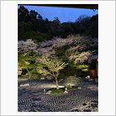 人生初のヨガinお寺