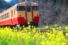 菜の花と小湊鉄道