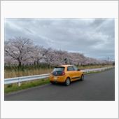 2022年桜並木