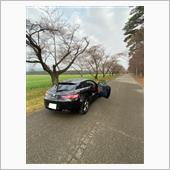桜は4／2頃開花かなぁ⁉️