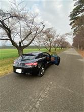 桜は4／2頃開花かなぁ⁉️