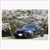 【春の嵐のあと桜が満開に(^ ...